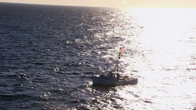 Wicked Tuna