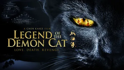 Legend of the Demon Cat