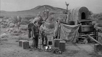 Rawhide