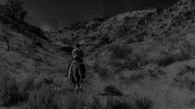 Rawhide