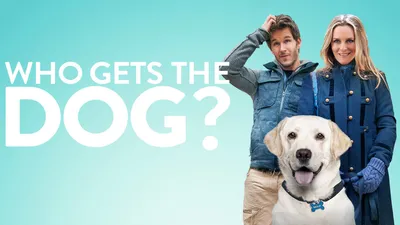 Who Gets The Dog