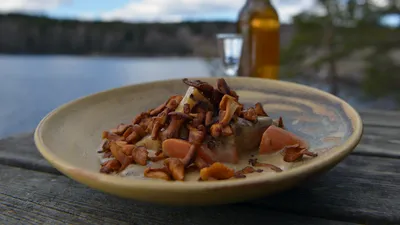 Tareq Taylor's Nordic Cookery