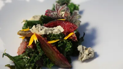 Tareq Taylor's Nordic Cookery