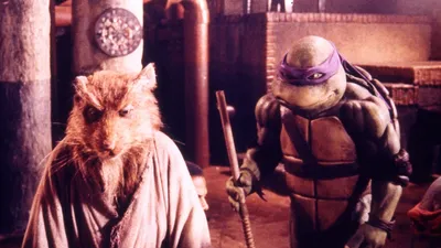 Teenage Mutant Ninja Turtles