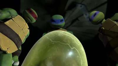 Teenage Mutant Ninja Turtles LT