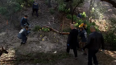 Criminal Minds