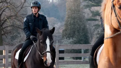 Rookie Blue LT