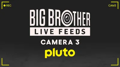 Big Brother Camera 3