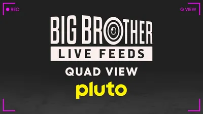 Big Brother Quad View