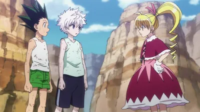 Hunter x Hunter LT