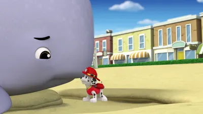 PAW Patrol LT