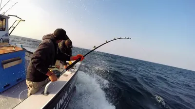 Wicked Tuna