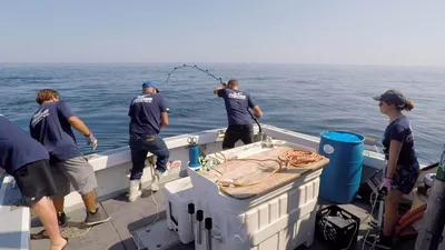 Wicked Tuna