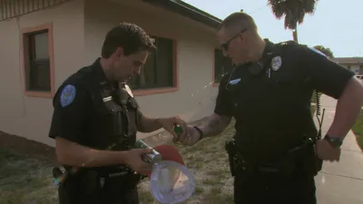 COPS