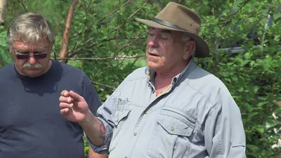 The Curse of Oak Island