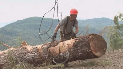 Ax Men