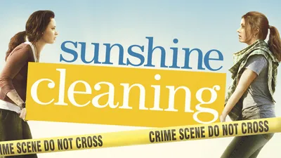 Sunshine Cleaning