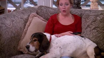 Sabrina: The Teenage Witch