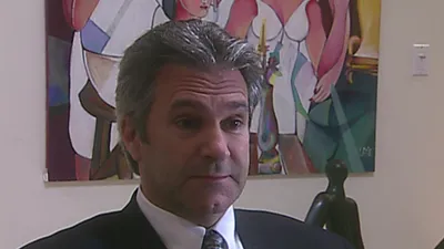 Gata Salvaje