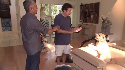 Dog Whisperer