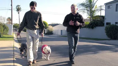 Dog Whisperer
