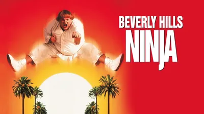 Beverly Hills Ninja