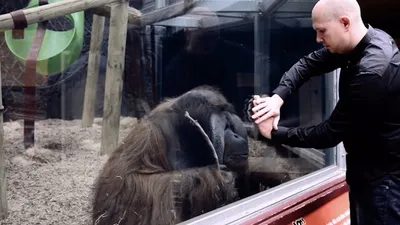 Watch Animals + Nature Channels on Live TV for Free | Pluto TV