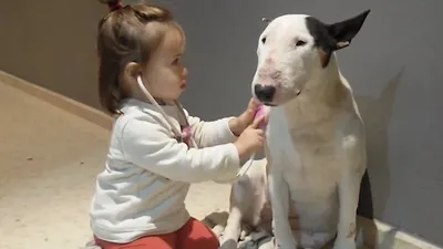 Animals Unscripted