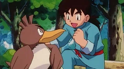Pokemon: The Johto Journeys