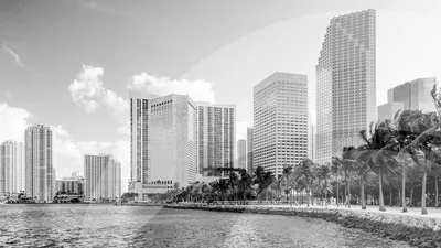 CBS News Miami 11pm