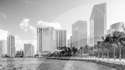 CBS News Miami 12PM