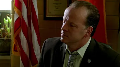 Blue Bloods