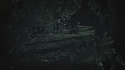 Paranormal 911