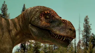 The Truth About Killer Dinosaurs