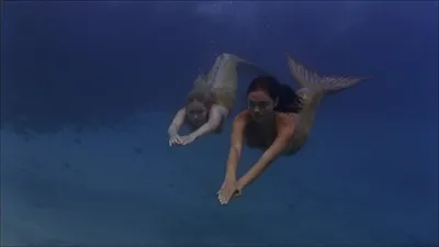 H2O: Just Add Water
