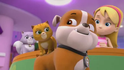 PAW Patrol