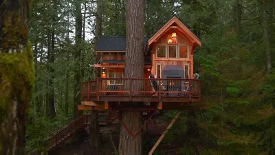 Treehouse Masters
