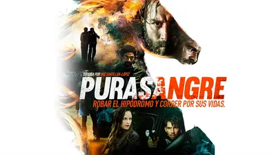Purasangre