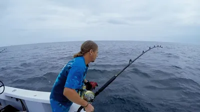 Wicked Tuna