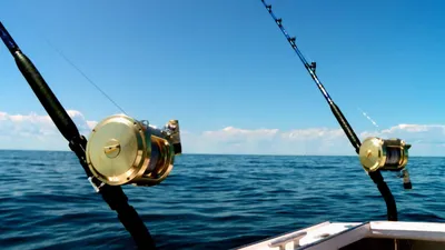 Wicked Tuna
