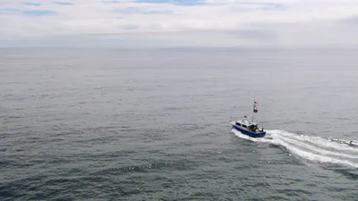 Wicked Tuna
