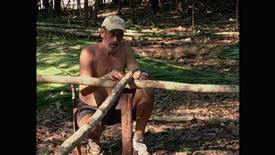 Survivor