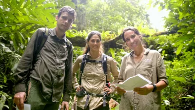 Schimpansen im Kongo - mit Jane Goodall