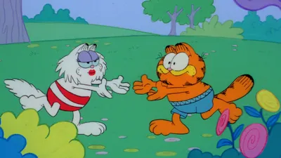 Garfield and Friends