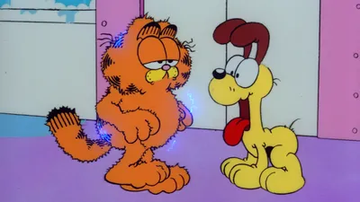 Garfield and Friends