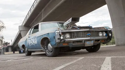 Roadkill