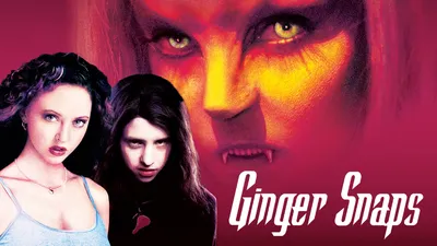 Ginger Snaps