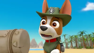 Watch Kids Channels on Live TV for Free | Pluto TV