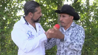 Ahí viene el toro