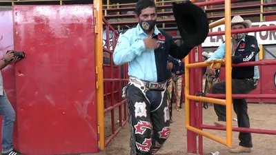 Ahí viene el toro